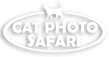 Cat Photo Safari