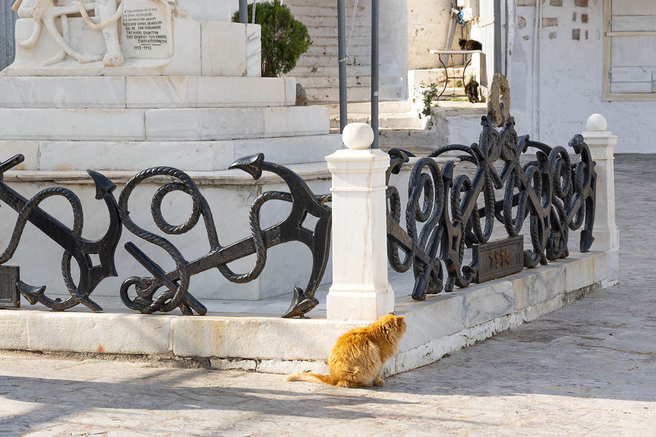 Long hair orange cat in Hydra Greece